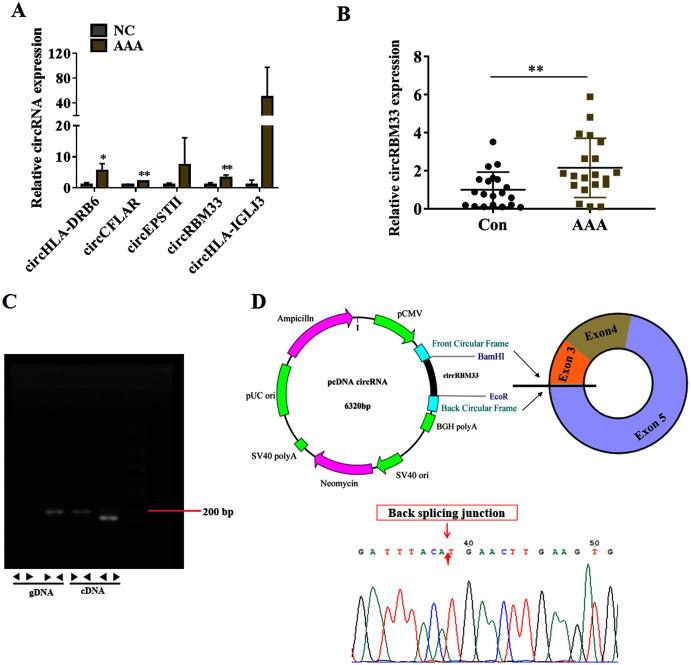 https://cdn.ncbi.nlm.nih.gov/pmc/blobs/c736/8603816/82bb7798fa91/peerj-09-12232-g003.jpg