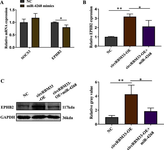 https://cdn.ncbi.nlm.nih.gov/pmc/blobs/c736/8603816/a623d2f6e926/peerj-09-12232-g006.jpg