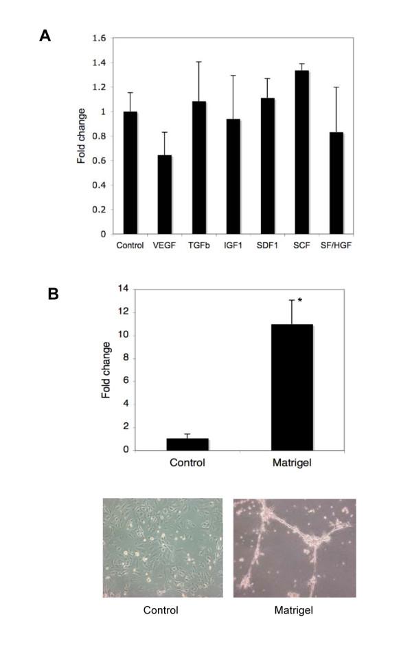 https://cdn.ncbi.nlm.nih.gov/pmc/blobs/c738/2793264/96da753a05f8/1471-2407-9-417-3.jpg