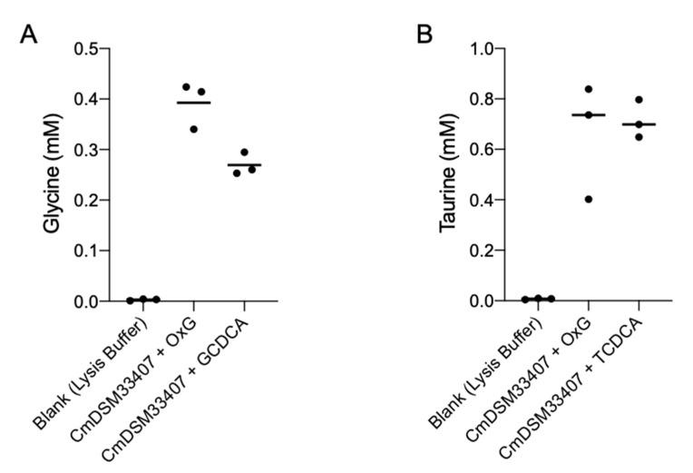 https://cdn.ncbi.nlm.nih.gov/pmc/blobs/c738/8228234/d0b0a2c3f90b/microorganisms-09-01252-g002.jpg