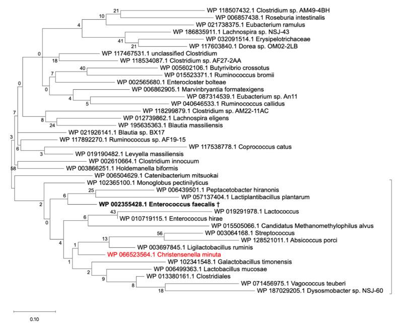 https://cdn.ncbi.nlm.nih.gov/pmc/blobs/c738/8228234/f1a0c1e61847/microorganisms-09-01252-g006.jpg