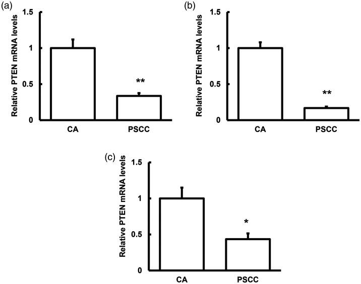 https://cdn.ncbi.nlm.nih.gov/pmc/blobs/c73a/8267046/944a9a91ecef/10.1177_03000605211014379-fig1.jpg