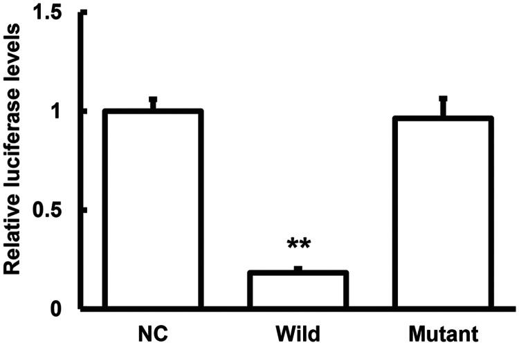 https://cdn.ncbi.nlm.nih.gov/pmc/blobs/c73a/8267046/b03ae725d234/10.1177_03000605211014379-fig5.jpg