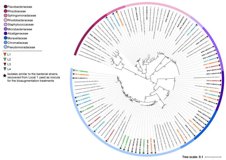 https://cdn.ncbi.nlm.nih.gov/pmc/blobs/c73a/8620031/7691b496f72e/microorganisms-09-02389-g003.jpg
