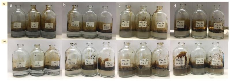 https://cdn.ncbi.nlm.nih.gov/pmc/blobs/c73a/8620031/bcac511a7f7e/microorganisms-09-02389-g004.jpg