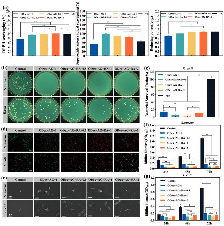 https://cdn.ncbi.nlm.nih.gov/pmc/blobs/c73b/10223410/2f985267becf/molecules-28-04034-g004.jpg