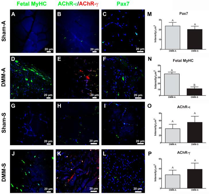 https://cdn.ncbi.nlm.nih.gov/pmc/blobs/c73c/7830033/d0fdb37fa927/bioengineering-08-00012-g004.jpg