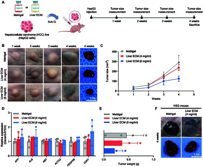 https://cdn.ncbi.nlm.nih.gov/pmc/blobs/c73d/12369845/5b2d95442a5e/bmr.0242.fig.001.jpg