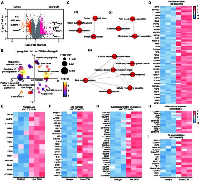 https://cdn.ncbi.nlm.nih.gov/pmc/blobs/c73d/12369845/fa9d9f74c73e/bmr.0242.fig.005.jpg