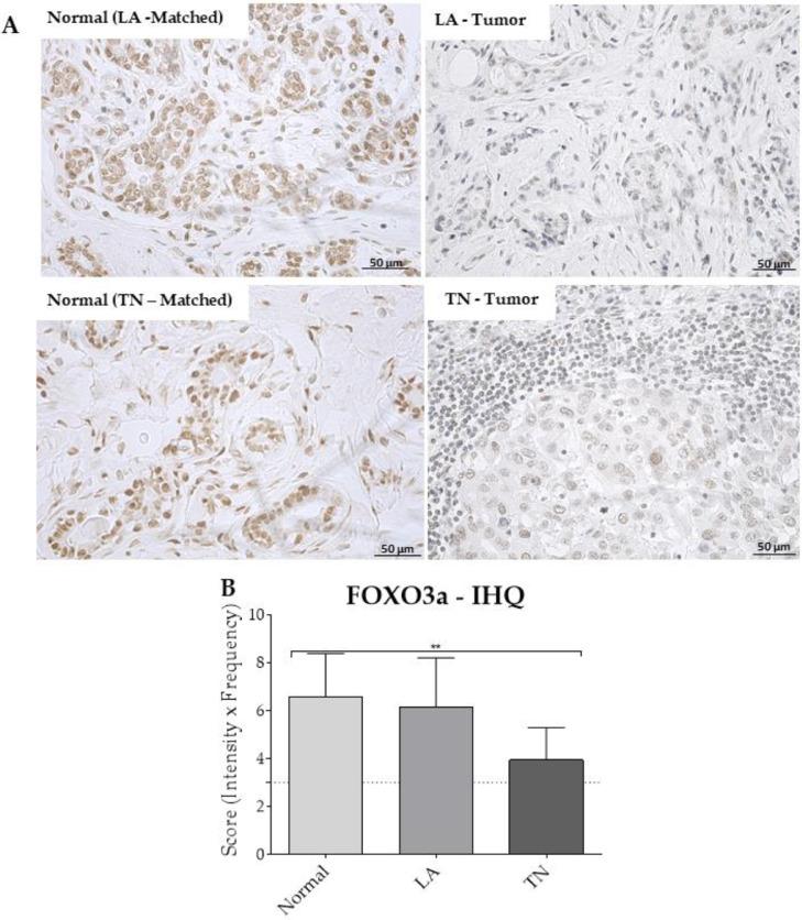 https://cdn.ncbi.nlm.nih.gov/pmc/blobs/c73d/9868871/2c8096779756/gr4.jpg