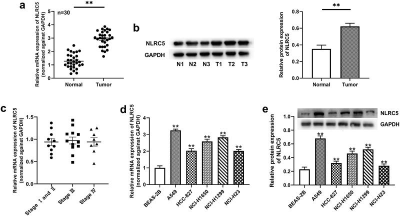 https://cdn.ncbi.nlm.nih.gov/pmc/blobs/c73d/9995128/3e0b2a447076/KBIE_A_2086375_F0001_B.jpg