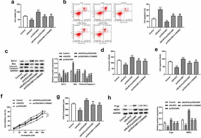 https://cdn.ncbi.nlm.nih.gov/pmc/blobs/c73d/9995128/6861c16b4d4d/KBIE_A_2086375_F0005_OC.jpg