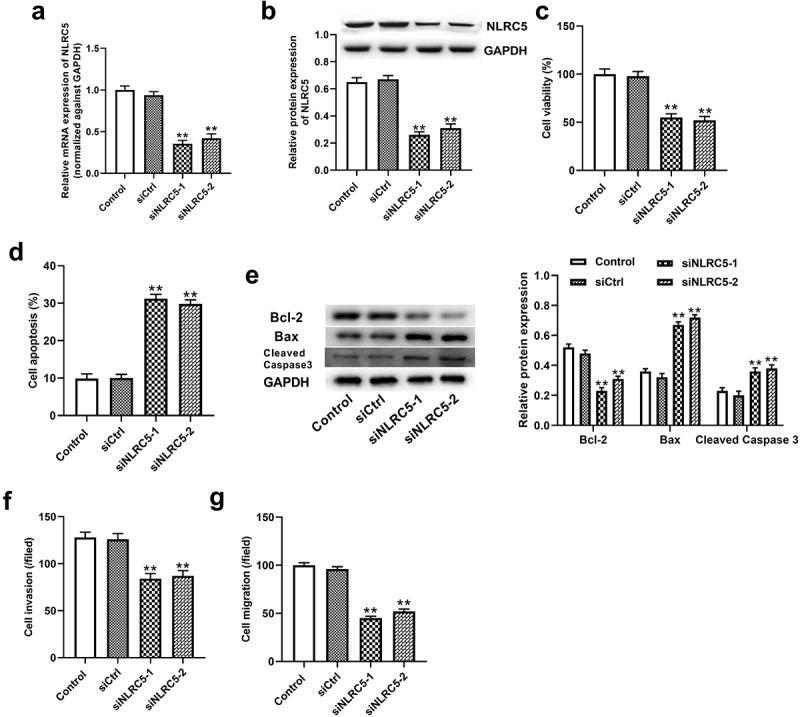 https://cdn.ncbi.nlm.nih.gov/pmc/blobs/c73d/9995128/b26d2e5c8b8d/KBIE_A_2086375_F0002_B.jpg