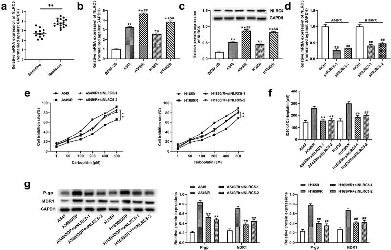 https://cdn.ncbi.nlm.nih.gov/pmc/blobs/c73d/9995128/bffbb7475974/KBIE_A_2086375_F0003_B.jpg