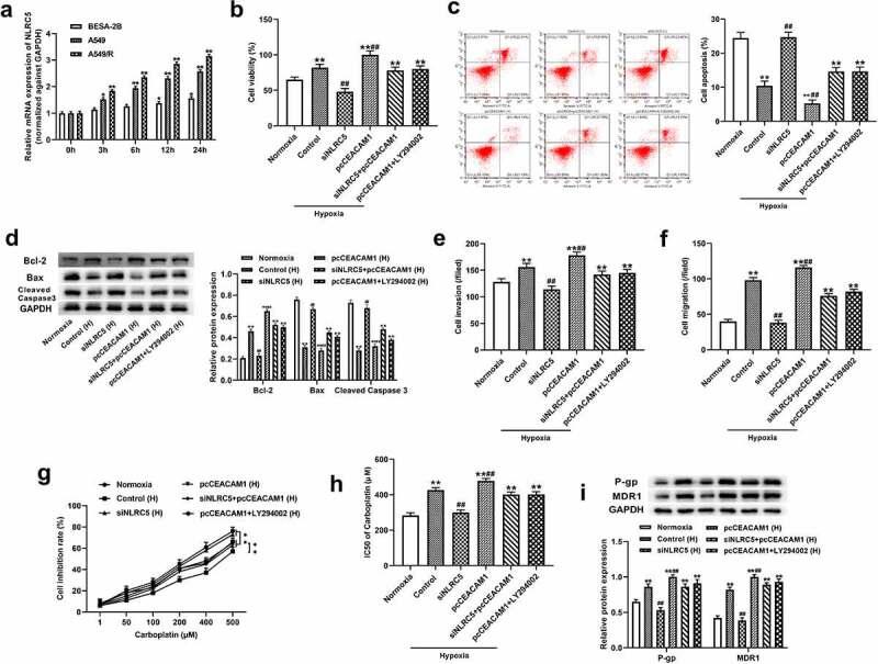 https://cdn.ncbi.nlm.nih.gov/pmc/blobs/c73d/9995128/eb6605227745/KBIE_A_2086375_F0006_OC.jpg