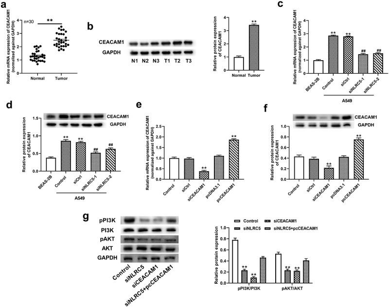 https://cdn.ncbi.nlm.nih.gov/pmc/blobs/c73d/9995128/f0c236d01d23/KBIE_A_2086375_F0004_B.jpg