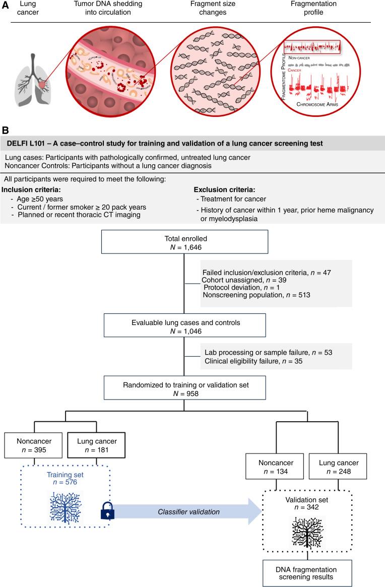https://cdn.ncbi.nlm.nih.gov/pmc/blobs/c73e/11528203/31dcac40c695/cd-24-0519fig1.jpg