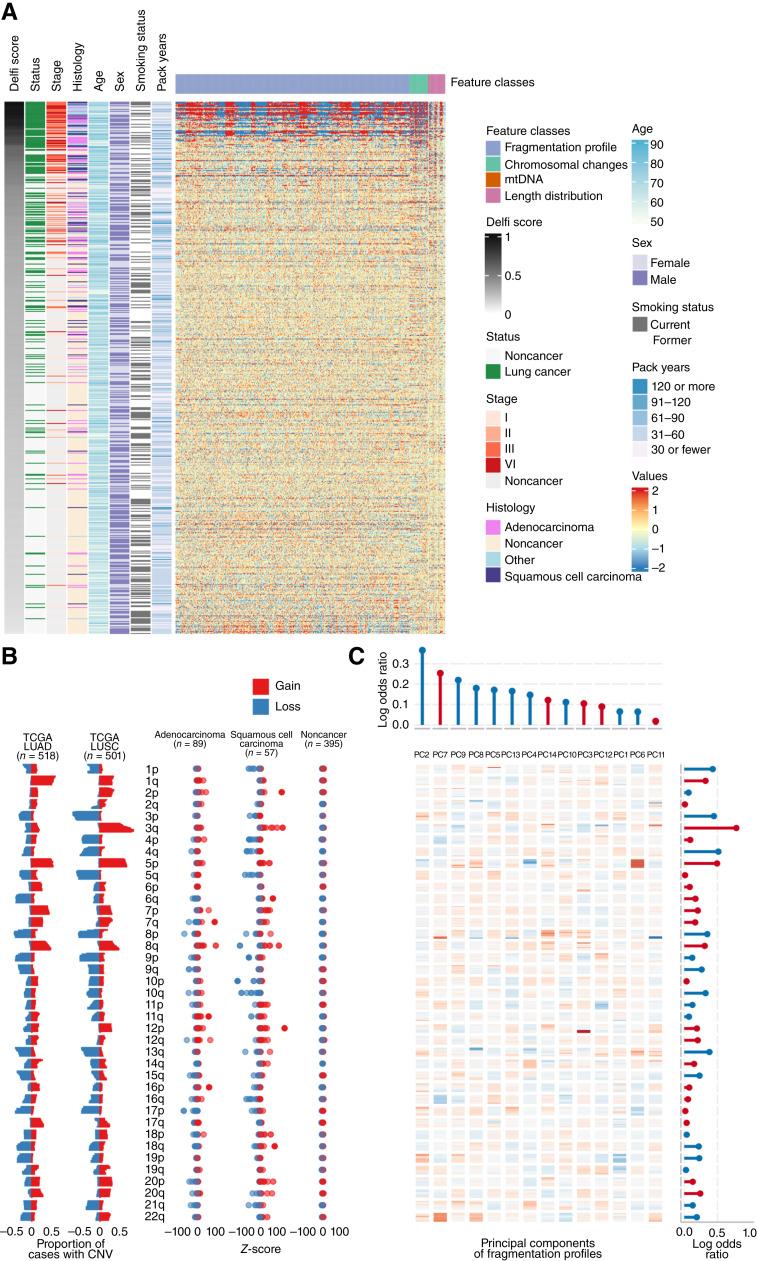 https://cdn.ncbi.nlm.nih.gov/pmc/blobs/c73e/11528203/8dd01a9017d0/cd-24-0519fig3.jpg