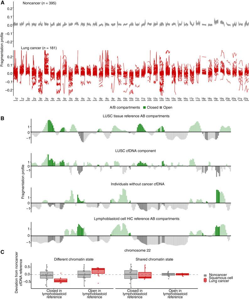 https://cdn.ncbi.nlm.nih.gov/pmc/blobs/c73e/11528203/f4c1d97cc4c0/cd-24-0519fig2.jpg