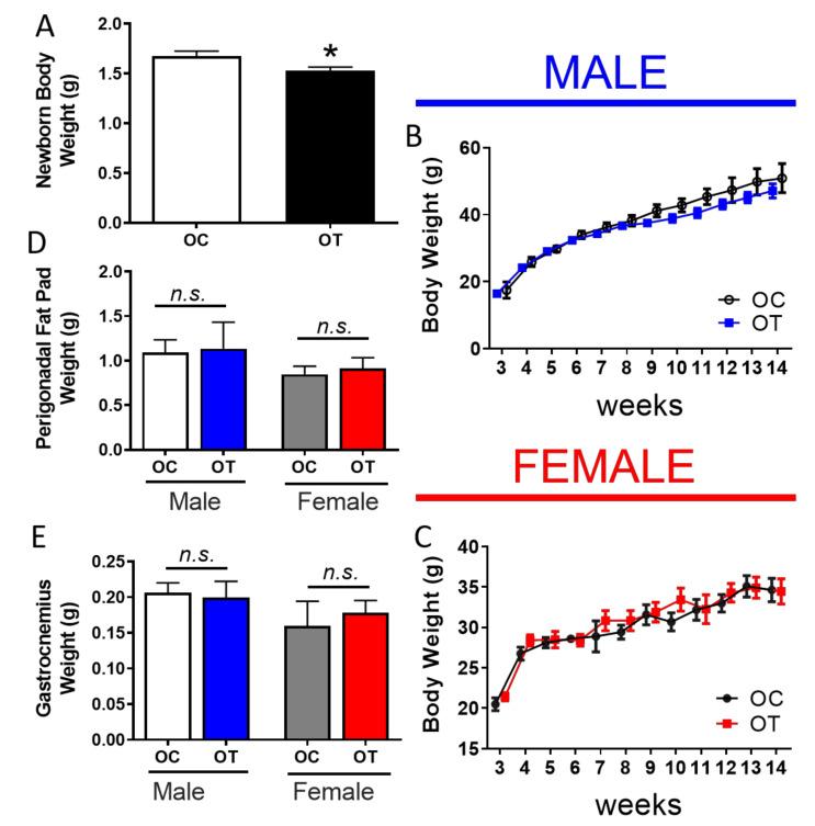 https://cdn.ncbi.nlm.nih.gov/pmc/blobs/c73f/8744992/554f6ac5dedf/ijms-23-00001-g002.jpg