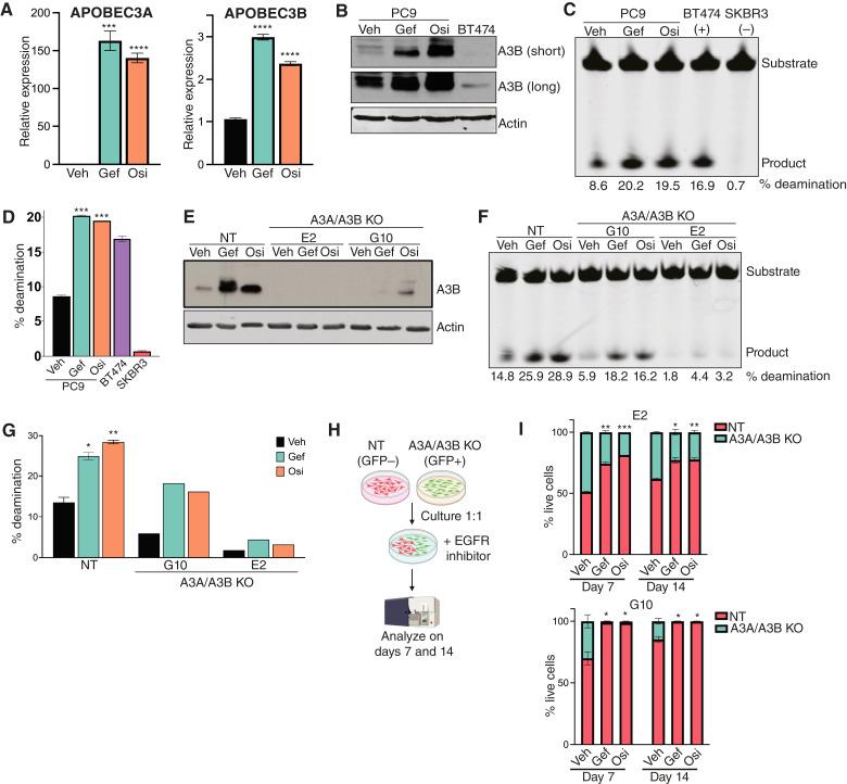https://cdn.ncbi.nlm.nih.gov/pmc/blobs/c741/12093302/6326af310586/crc-24-0442_f1.jpg