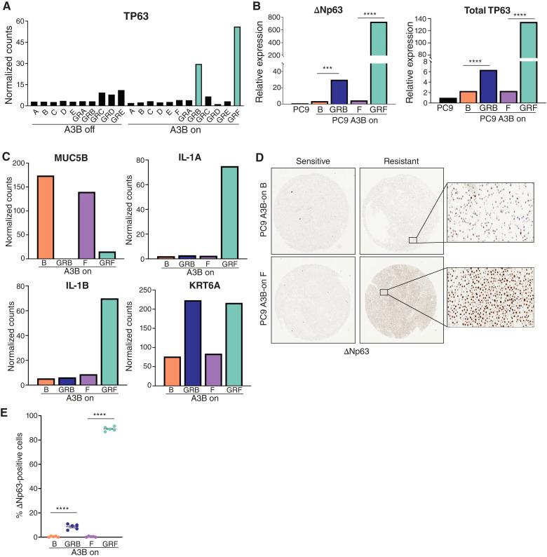 https://cdn.ncbi.nlm.nih.gov/pmc/blobs/c741/12093302/bc8361c5ae71/crc-24-0442_f5.jpg