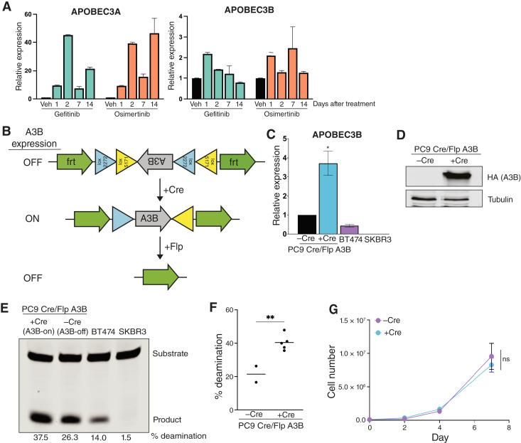 https://cdn.ncbi.nlm.nih.gov/pmc/blobs/c741/12093302/f8820341c9f6/crc-24-0442_f2.jpg