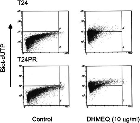https://cdn.ncbi.nlm.nih.gov/pmc/blobs/c741/4424446/4d52e9f8a090/12885_2015_1315_Fig2_HTML.jpg