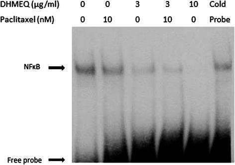 https://cdn.ncbi.nlm.nih.gov/pmc/blobs/c741/4424446/fb27d4f78f83/12885_2015_1315_Fig8_HTML.jpg