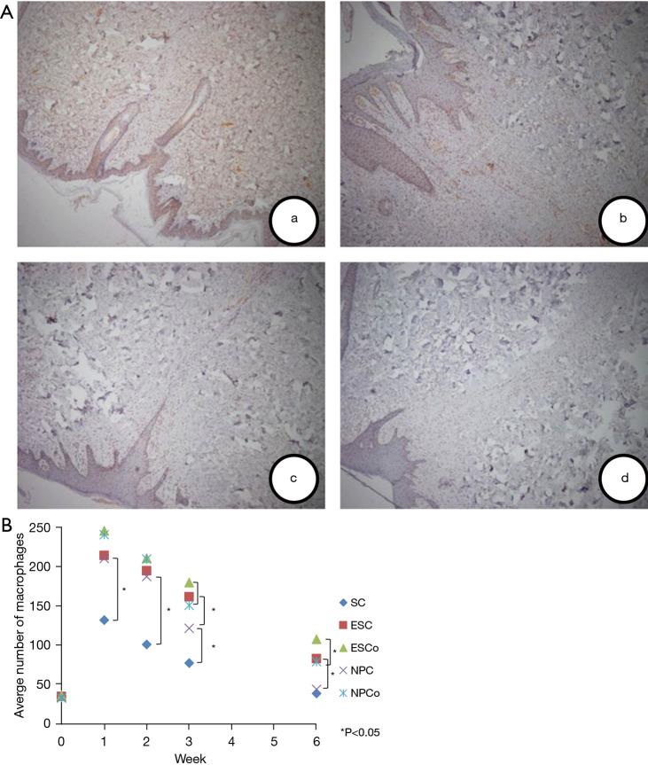https://cdn.ncbi.nlm.nih.gov/pmc/blobs/c742/8576679/6b8f3cb1dafe/atm-09-20-1514-f5.jpg