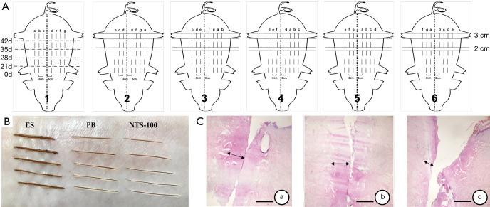 https://cdn.ncbi.nlm.nih.gov/pmc/blobs/c742/8576679/87ed39e52754/atm-09-20-1514-f2.jpg