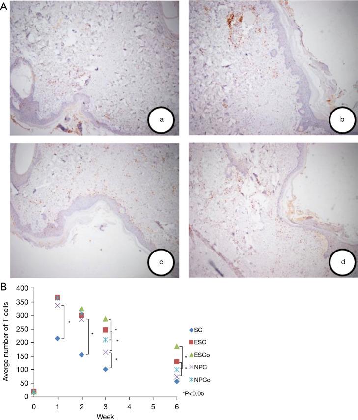 https://cdn.ncbi.nlm.nih.gov/pmc/blobs/c742/8576679/beef079ad953/atm-09-20-1514-f4.jpg