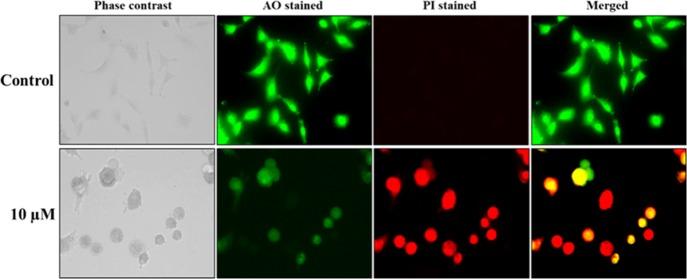 https://cdn.ncbi.nlm.nih.gov/pmc/blobs/c74a/6682138/12a8830e25e7/ao-2019-01022r_0007.jpg