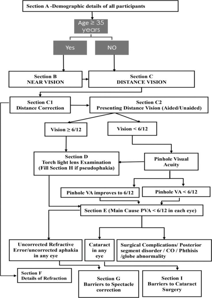 https://cdn.ncbi.nlm.nih.gov/pmc/blobs/c74b/11552825/5e260b2a3d80/IJO-72-1321-g001.jpg