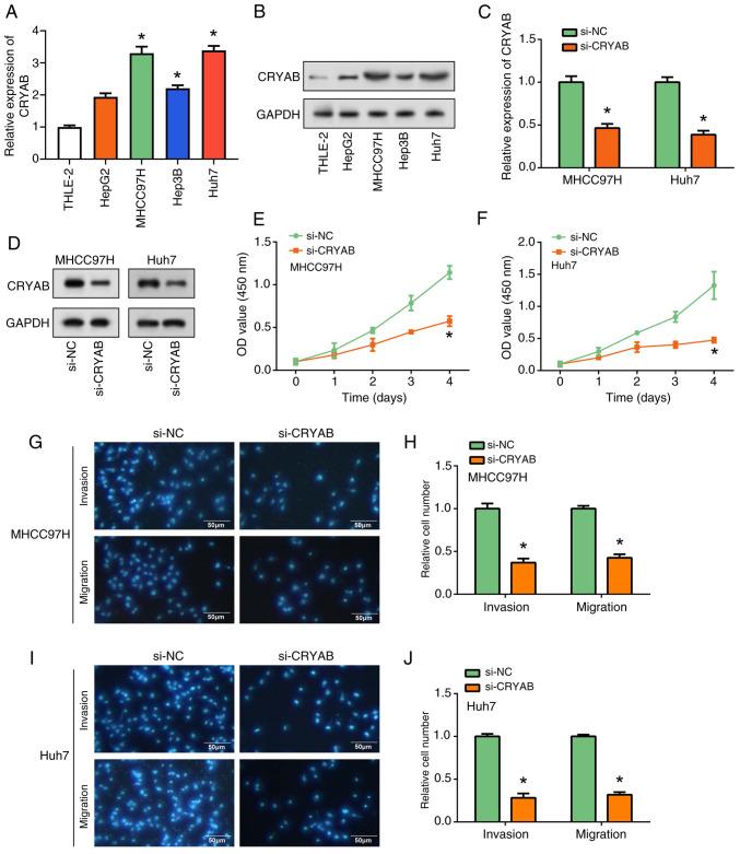 https://cdn.ncbi.nlm.nih.gov/pmc/blobs/c74d/12210110/bbafc5817802/mco-23-02-02867-g03.jpg