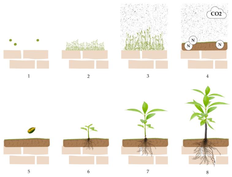 https://cdn.ncbi.nlm.nih.gov/pmc/blobs/c74d/9781475/005bfff0950d/plants-11-03429-g003.jpg
