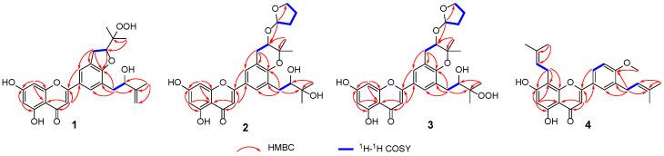 https://cdn.ncbi.nlm.nih.gov/pmc/blobs/c74f/11477557/3a6e3d5e823a/molecules-29-04711-g002.jpg
