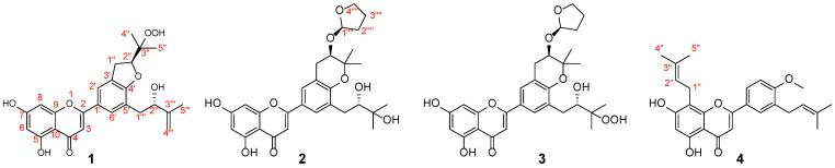 https://cdn.ncbi.nlm.nih.gov/pmc/blobs/c74f/11477557/e153a3965945/molecules-29-04711-g001.jpg