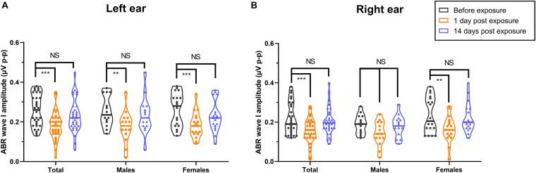 https://cdn.ncbi.nlm.nih.gov/pmc/blobs/c750/8062885/7217df3e5227/fnins-15-659011-g006.jpg