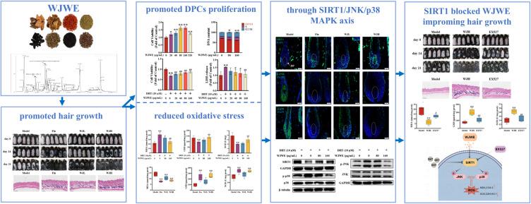 https://cdn.ncbi.nlm.nih.gov/pmc/blobs/c755/11971974/3a3aff5c04be/DDDT-19-2393-g0001.jpg