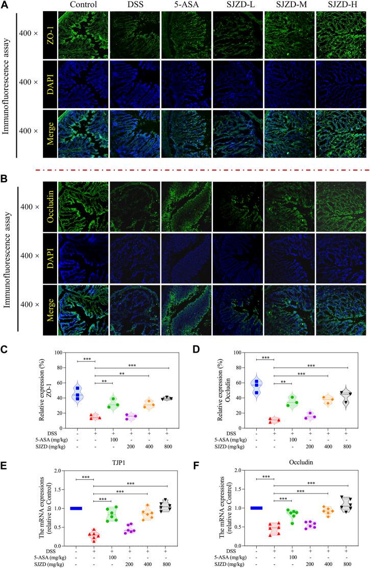 https://cdn.ncbi.nlm.nih.gov/pmc/blobs/c756/11033371/1c2577d32738/fphar-15-1360972-g005.jpg
