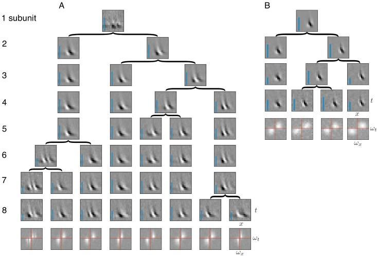 https://cdn.ncbi.nlm.nih.gov/pmc/blobs/c756/7062463/11977250129f/elife-45743-fig8.jpg