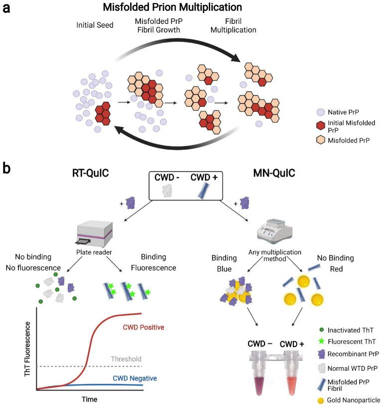 https://cdn.ncbi.nlm.nih.gov/pmc/blobs/c758/9293997/5cc9d3dd791d/41598_2022_16323_Fig1_HTML.jpg