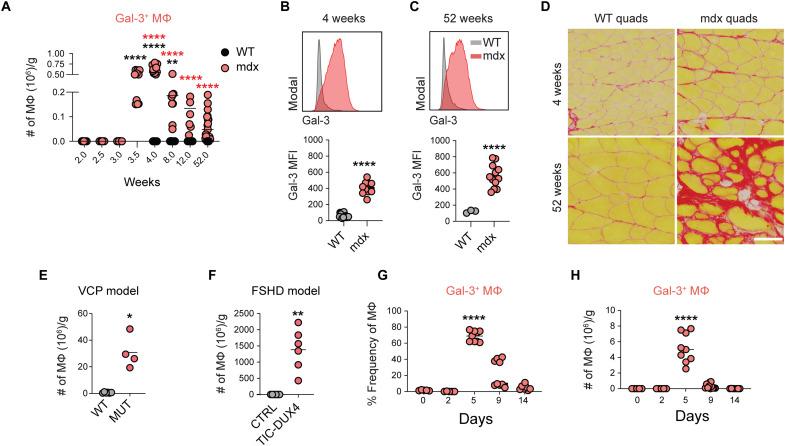 https://cdn.ncbi.nlm.nih.gov/pmc/blobs/c759/10328414/370b3b0401d6/sciadv.add9984-f5.jpg