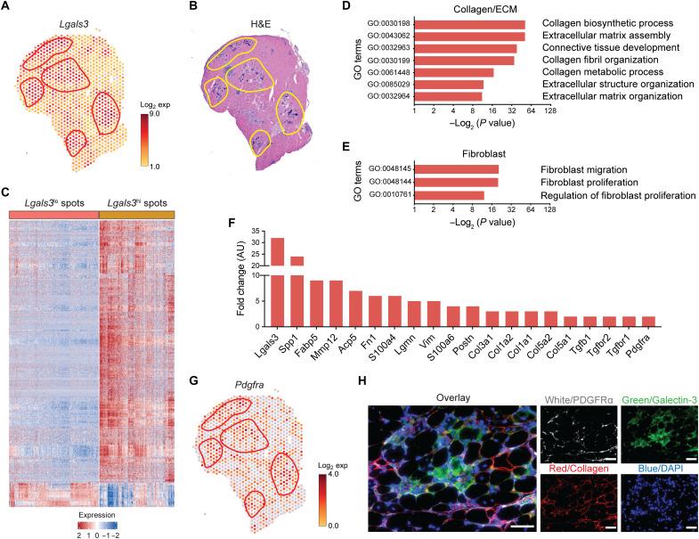 https://cdn.ncbi.nlm.nih.gov/pmc/blobs/c759/10328414/b33f8f6b465c/sciadv.add9984-f3.jpg