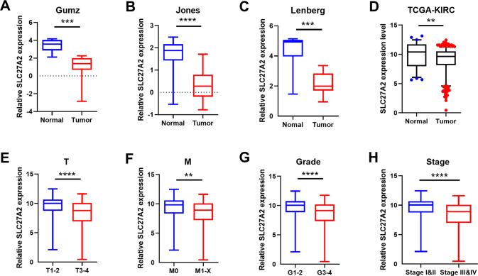 https://cdn.ncbi.nlm.nih.gov/pmc/blobs/c75c/9352701/3e68144c1a35/41420_2022_1145_Fig2_HTML.jpg