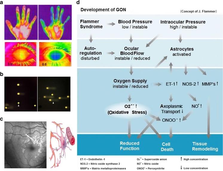 https://cdn.ncbi.nlm.nih.gov/pmc/blobs/c75d/5545999/95b6bae8e411/13167_2017_90_Fig6_HTML.jpg