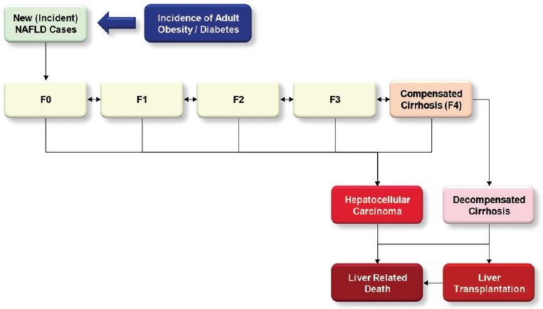 https://cdn.ncbi.nlm.nih.gov/pmc/blobs/c75d/6080149/063593bc4836/SJG-24-211-g001.jpg
