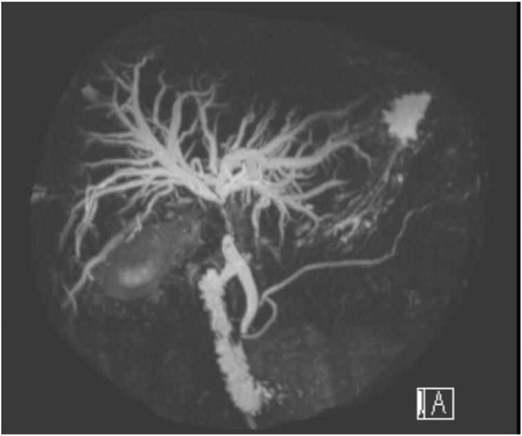 https://cdn.ncbi.nlm.nih.gov/pmc/blobs/c75f/7772368/763071f53612/gr2.jpg