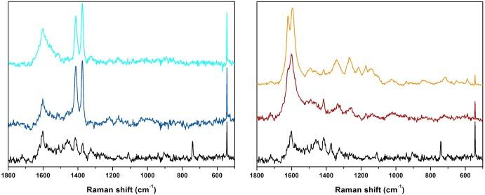 https://cdn.ncbi.nlm.nih.gov/pmc/blobs/c760/5512120/e77afac0dfbc/jp-2017-042887_0016.jpg